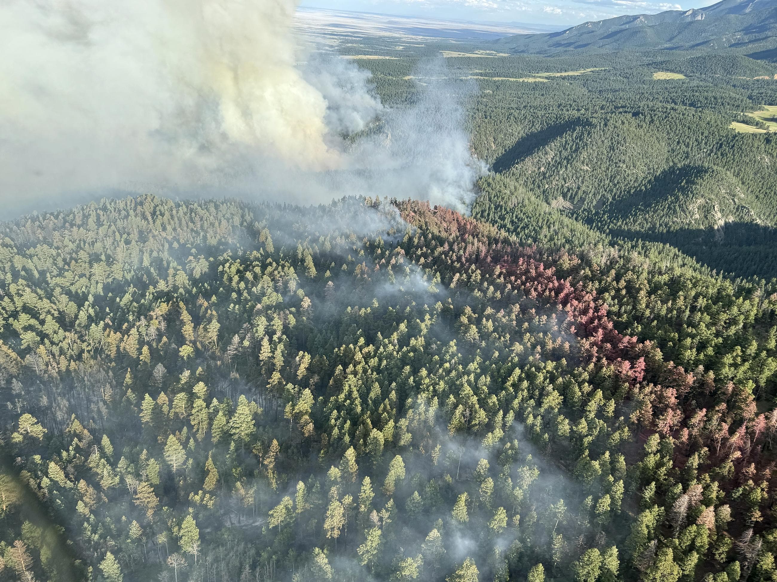 Aerial view of a forested ridge with smoke and a pink fire-retardant line along it.